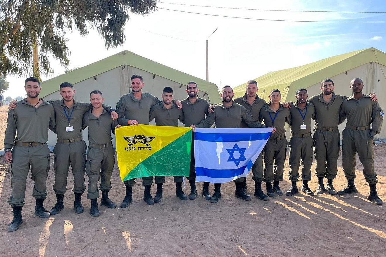 IDF delegation to 'African Lion'.