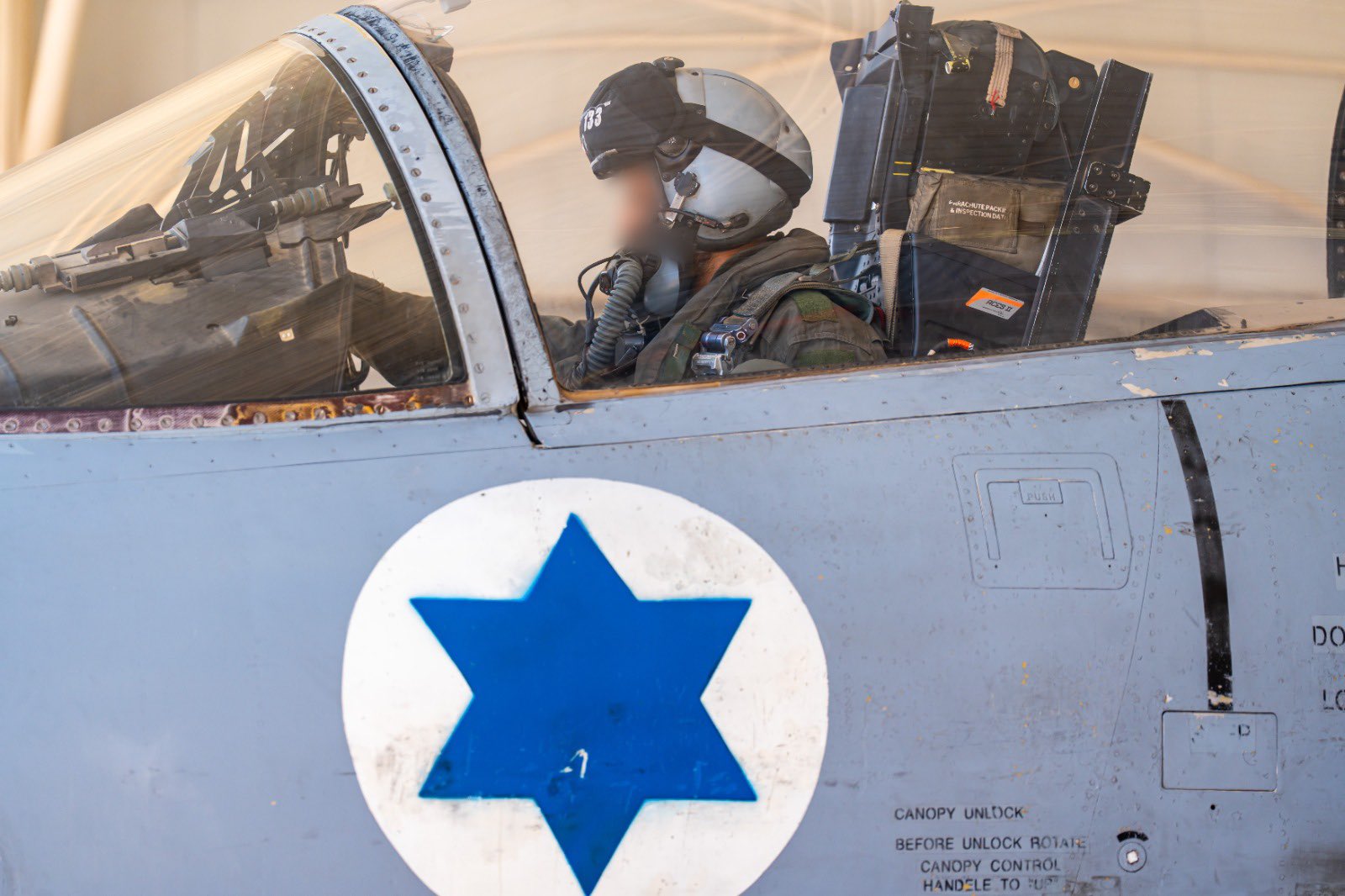 IAF pilots