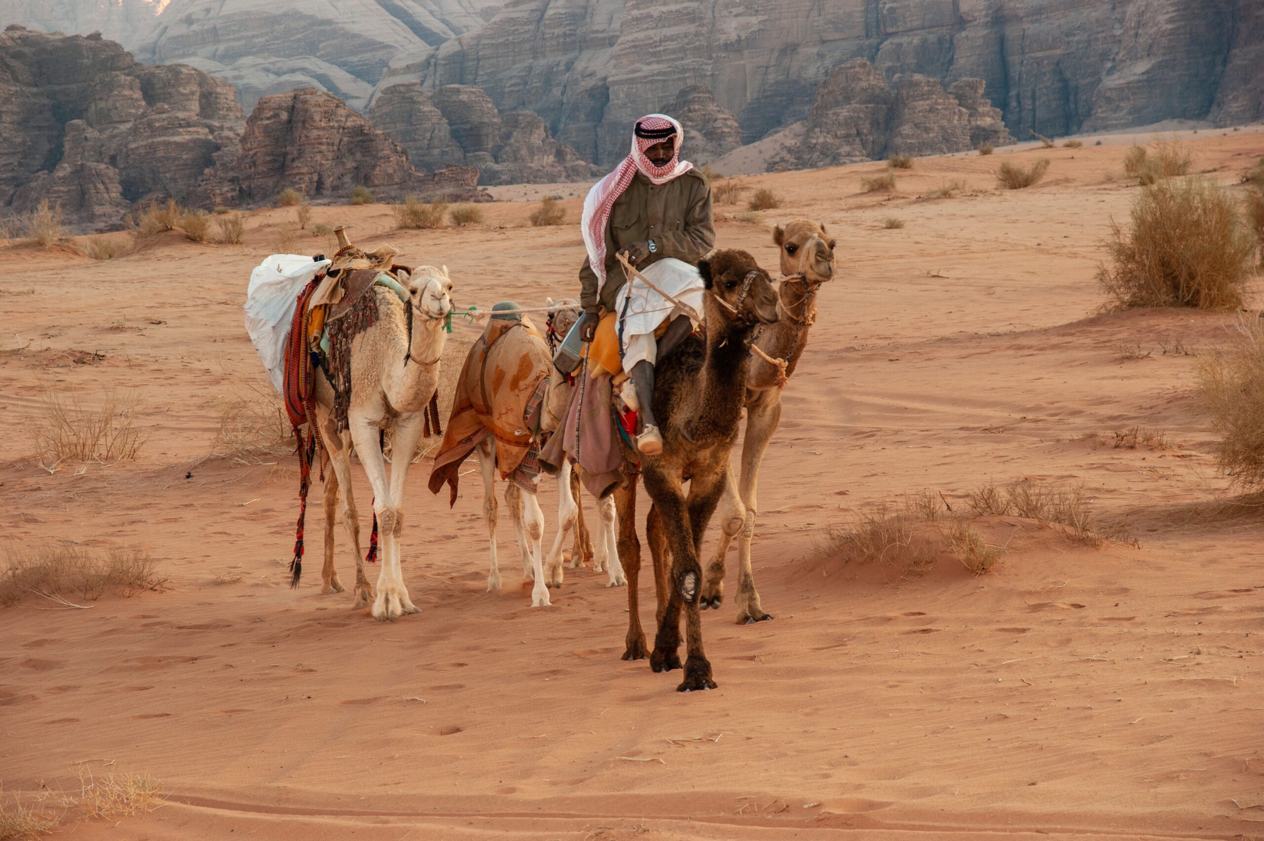 Bedouin Man