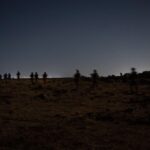 IDF Syria