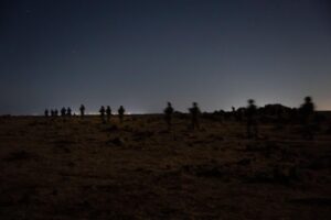 IDF Syria