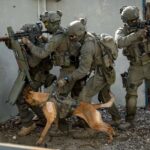 Yamam unit in action