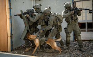 Yamam unit in action