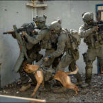 Yamam unit in action