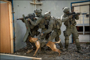 Yamam unit in action