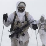 The Alpine Unit (IDF)