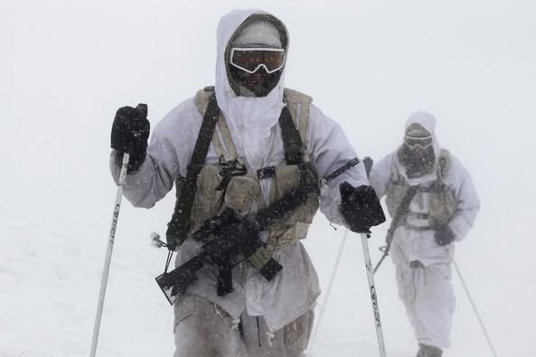 The Alpine Unit (IDF)