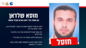 Musa Shaldan