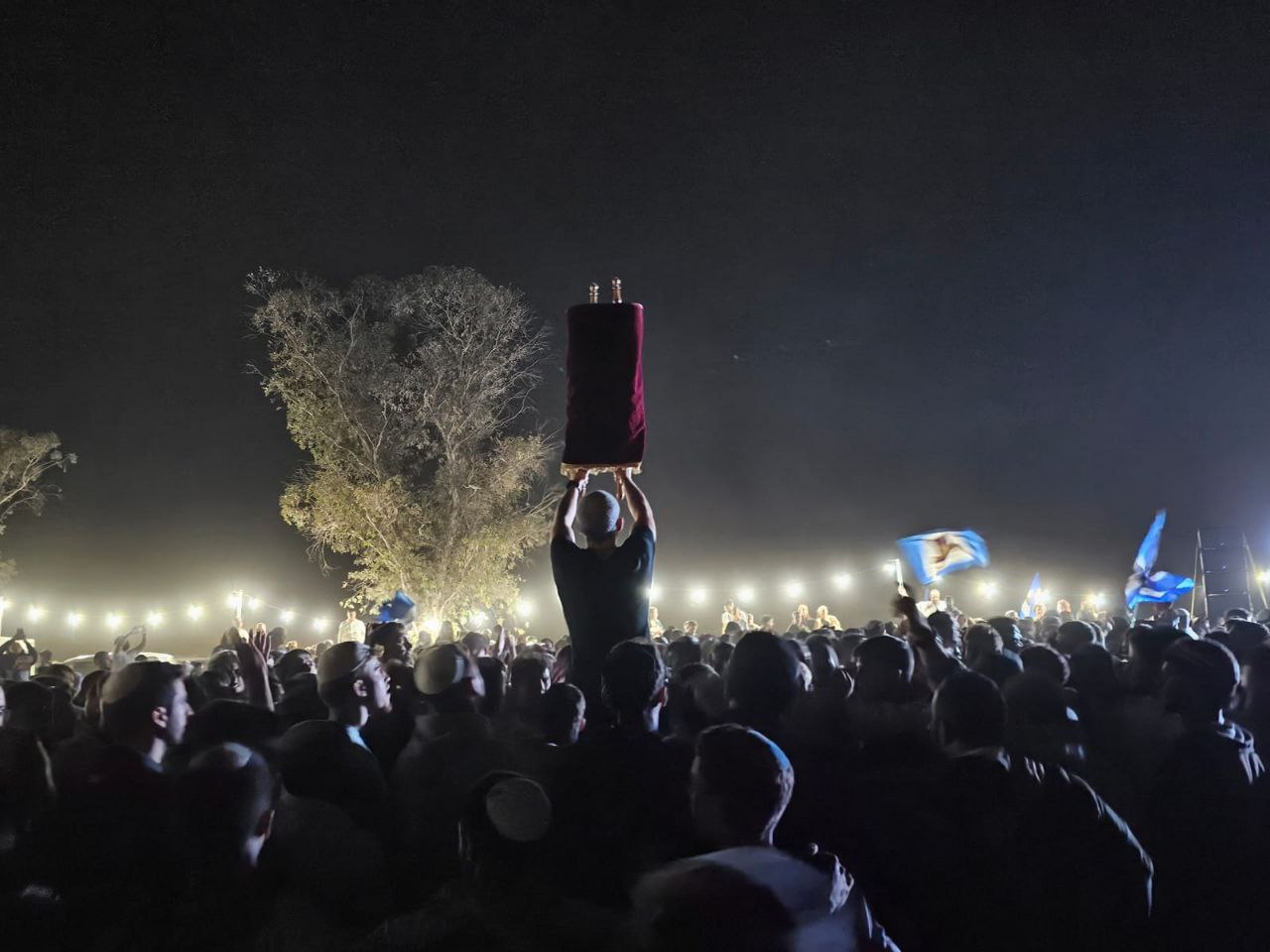 Nova festival