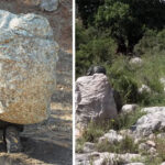 Israeli camouflage tech