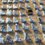 idf weapons smuggling